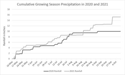 Figure 1: 2020 and 2021 rainfall patterns throughout the growing season from May to October 